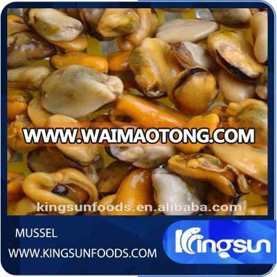 New Season Bulk Packing Frozen Cooked Mussel Meats