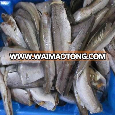 New arrival Frozen hake fillets block portion Merluccius productus