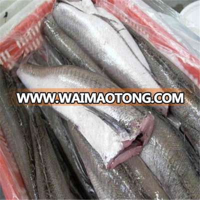 Grade A Frozen Hake Fillets