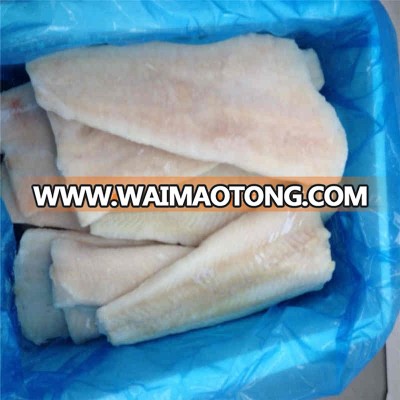 Frozen hake fillets / portions