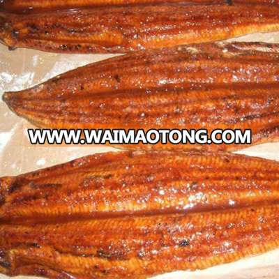 Good Price Taste Frozen Roasted Eel Fish