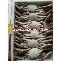 2017 New Arrival Cheap wholesale Frozen Male Female Blue Swimming Crab for market