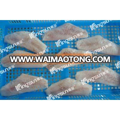 IQF Good Class Wholesale Grouper Fillet(Epinephelusdia Canthus)