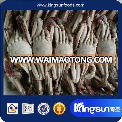 wholesale Frozen Blue Swimming Crab for market