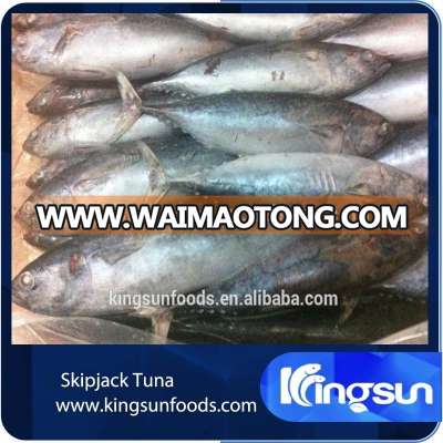 FROZEN SKIP JACK TUNA PRICE