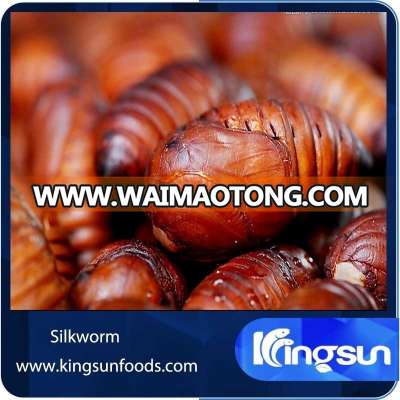 Dry Frozen cooked Silk worm