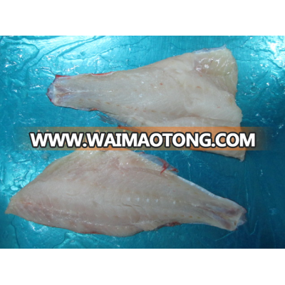 IQF frozen ocean perch fillet