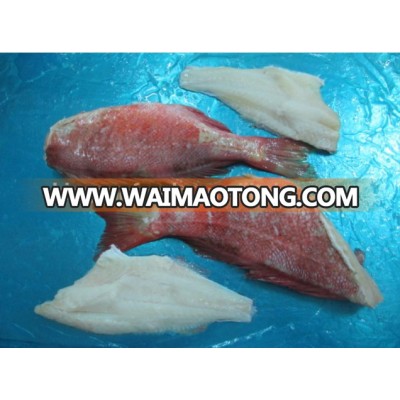 frozen seafood fillet ocean perch